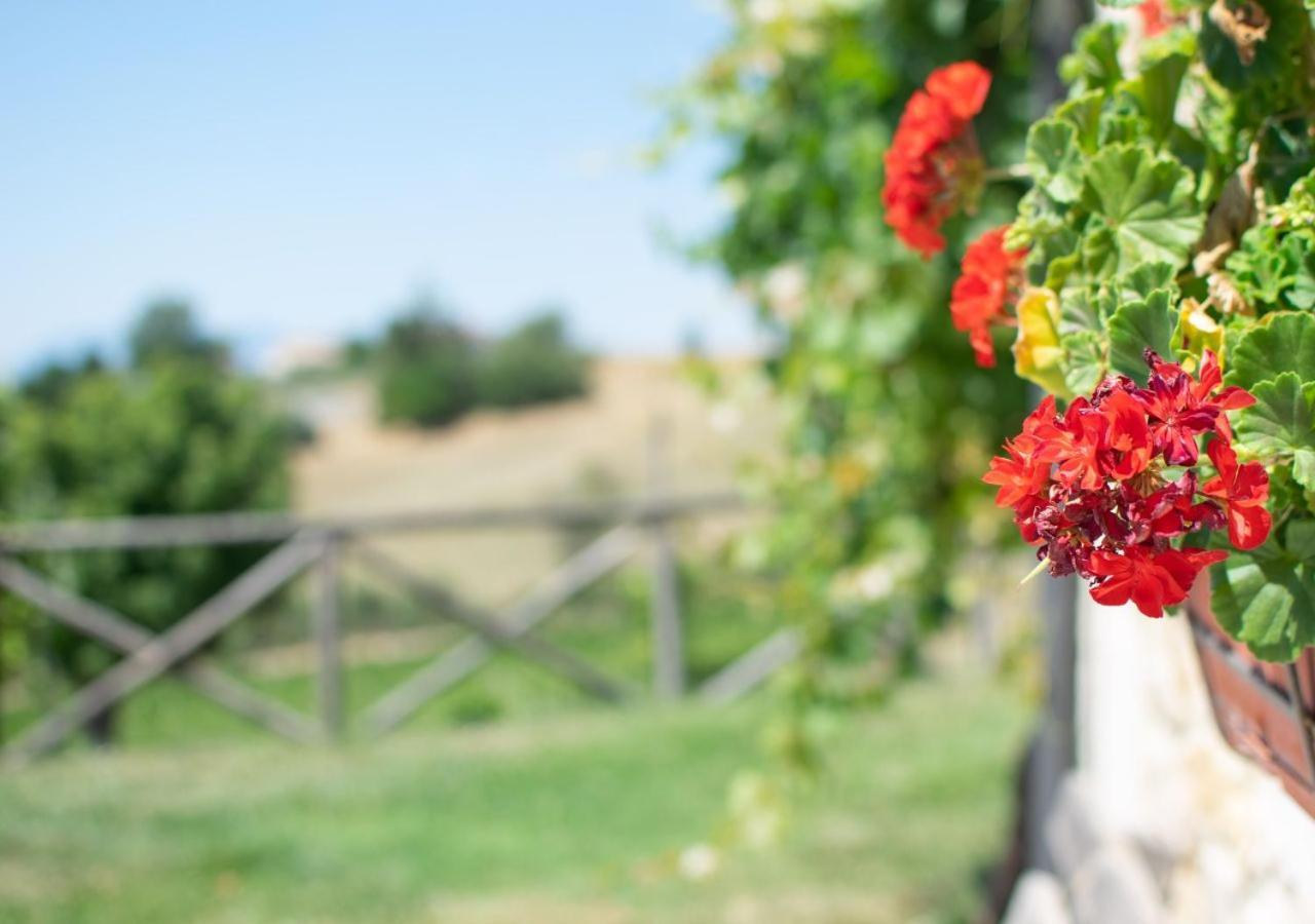 Agriturismo Torre Gialluise Gesualdo Εξωτερικό φωτογραφία