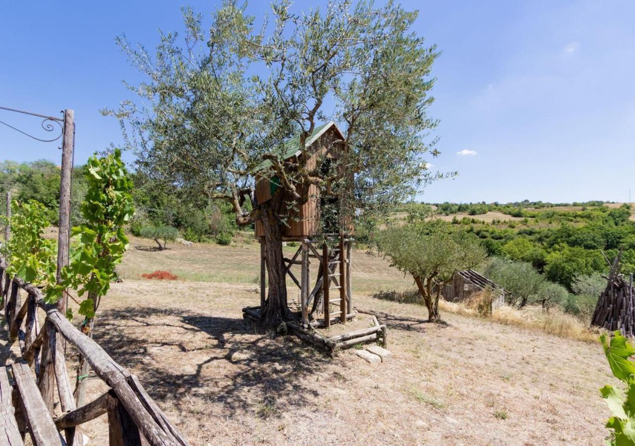 Agriturismo Torre Gialluise Gesualdo Εξωτερικό φωτογραφία