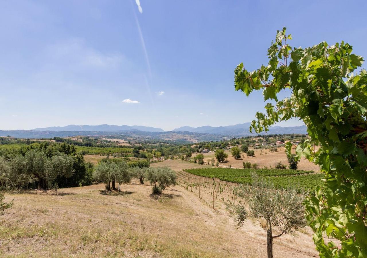 Agriturismo Torre Gialluise Gesualdo Εξωτερικό φωτογραφία