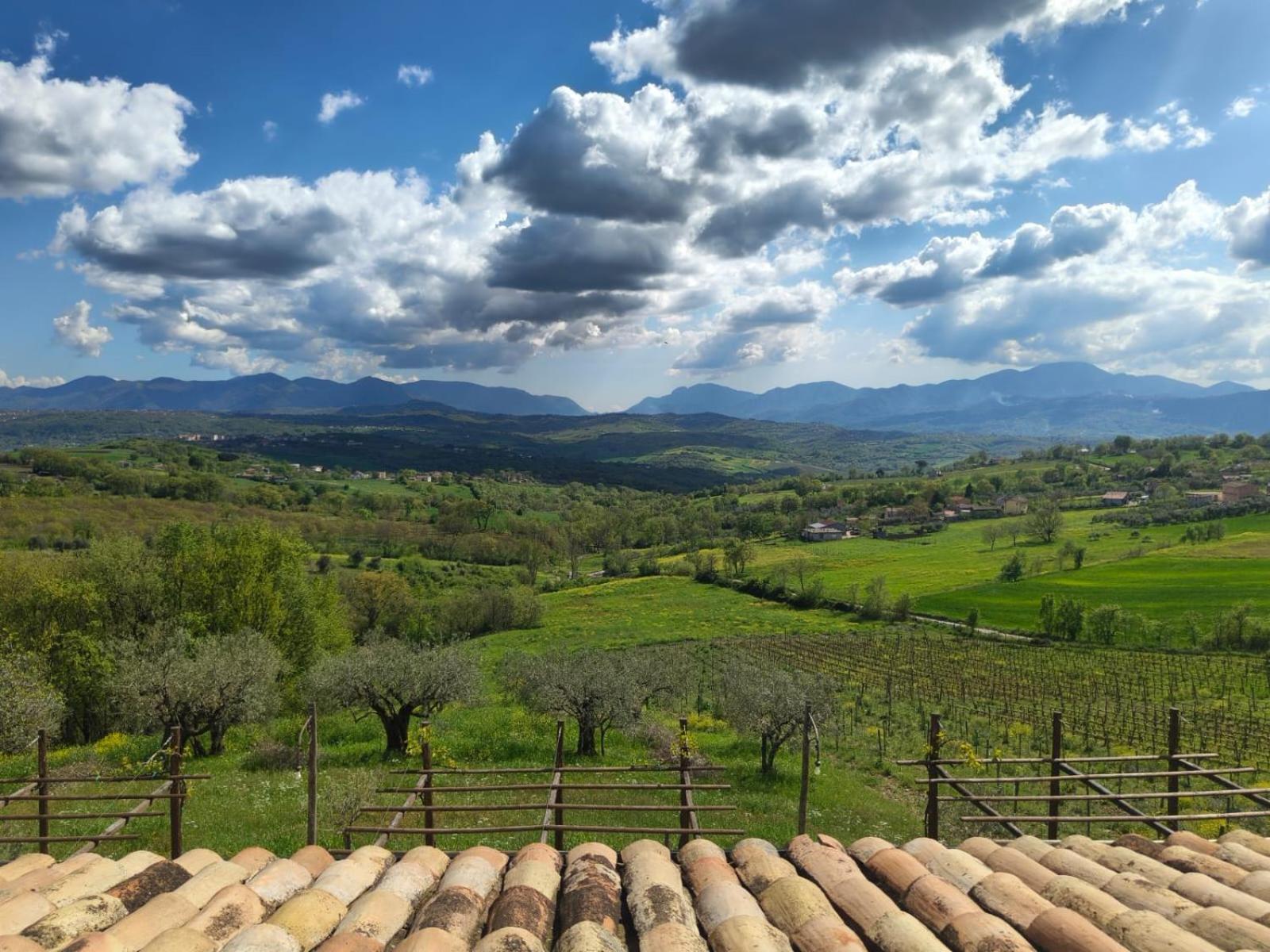 Agriturismo Torre Gialluise Gesualdo Εξωτερικό φωτογραφία